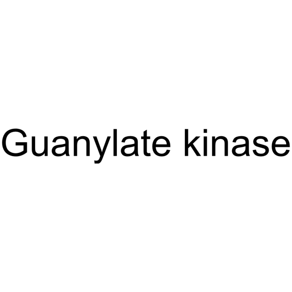 Guanylate kinase 9026-59-9